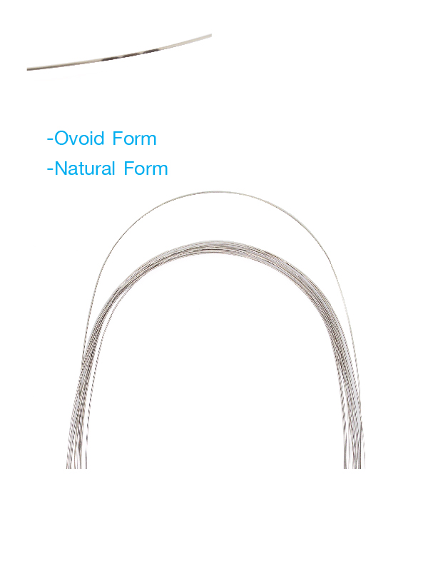 SS Wire Rectangle