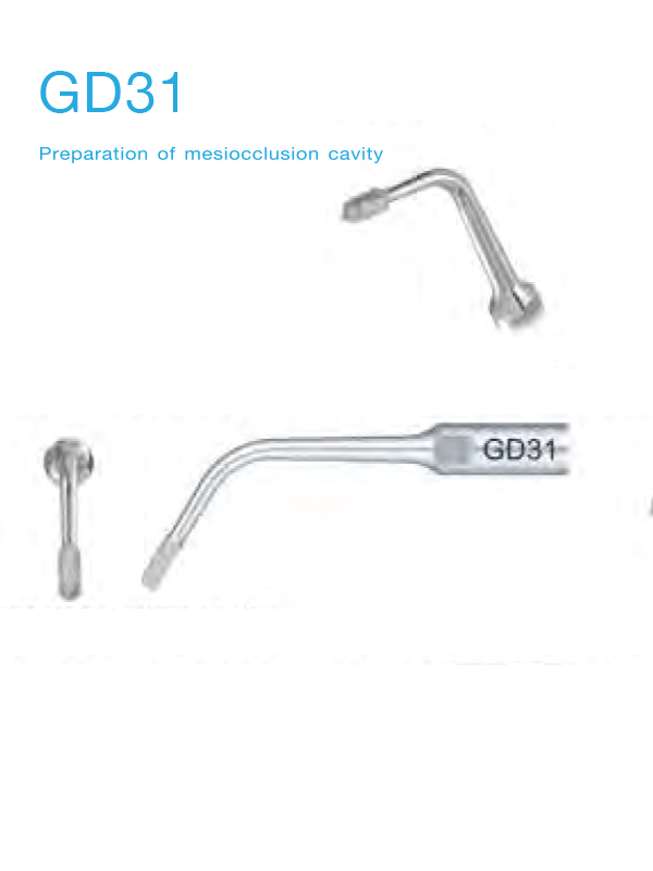 GD31